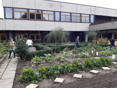 K1600_Schulgarten-5