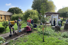 Gartenarbeit-im-Schulgarten