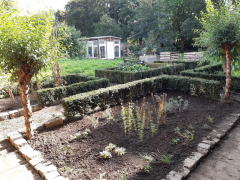 Schulgarten